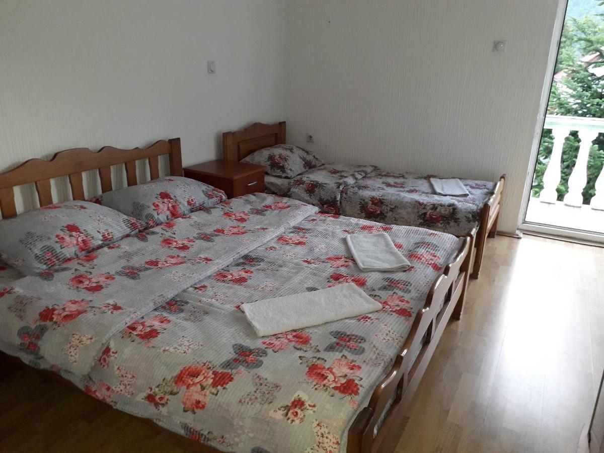 Motel Tara Mojkovac Exteriér fotografie